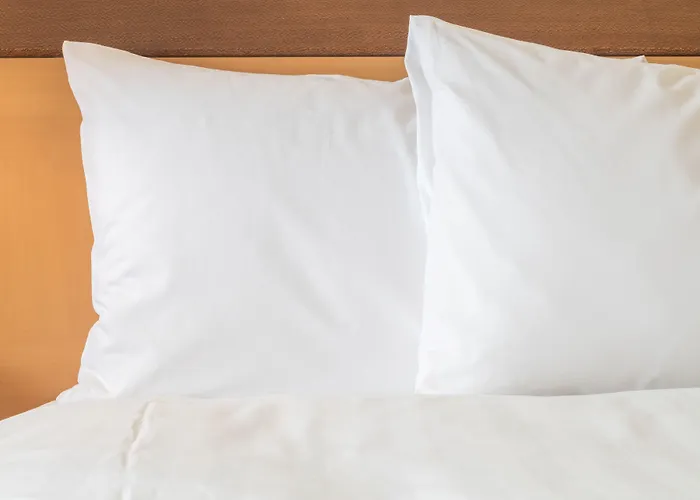 Plaza Capitole Hotel 4*