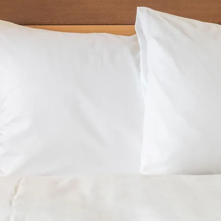 Plaza Capitole Hotel 4*